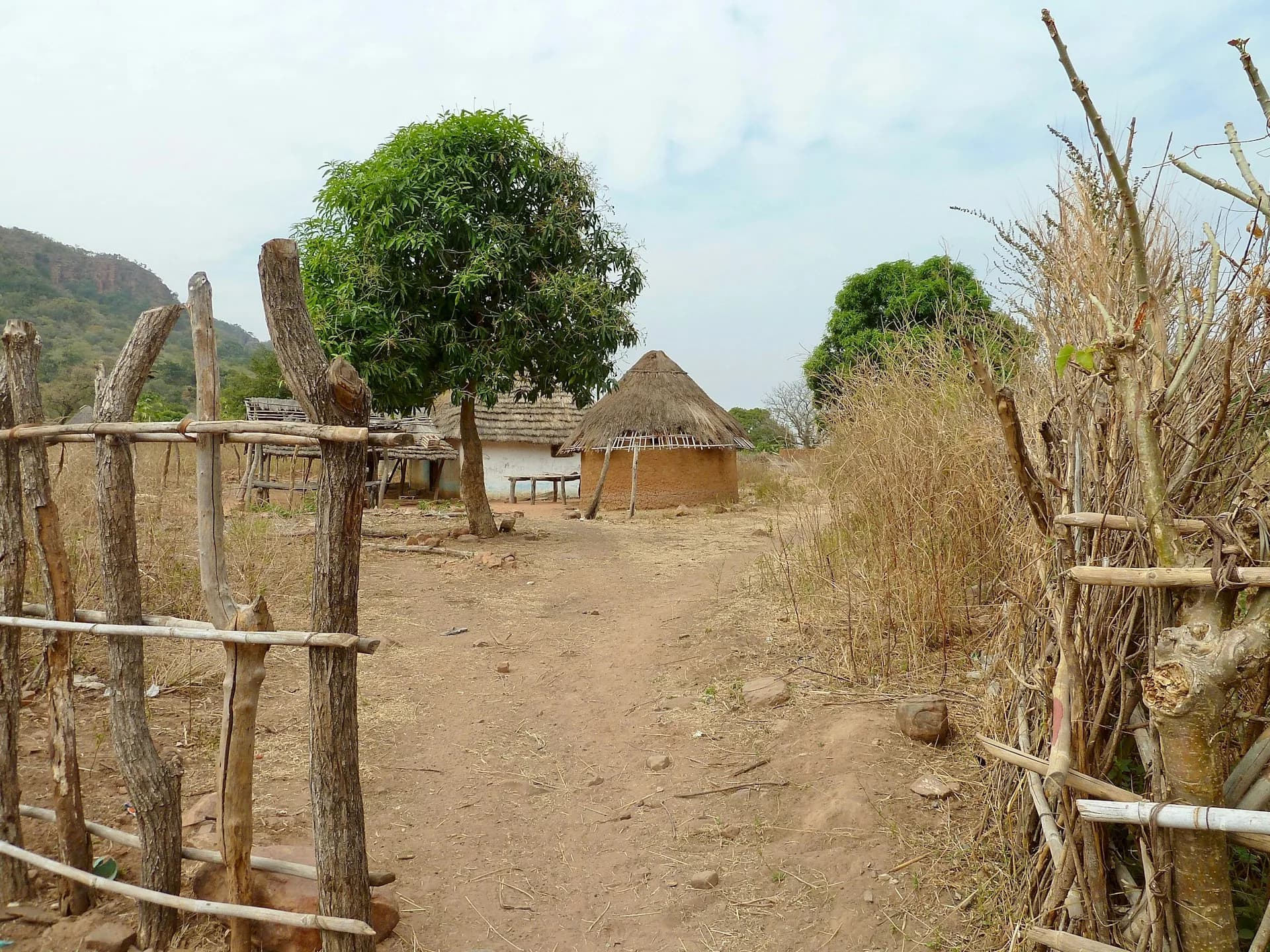 Rural Mini-Grid Network